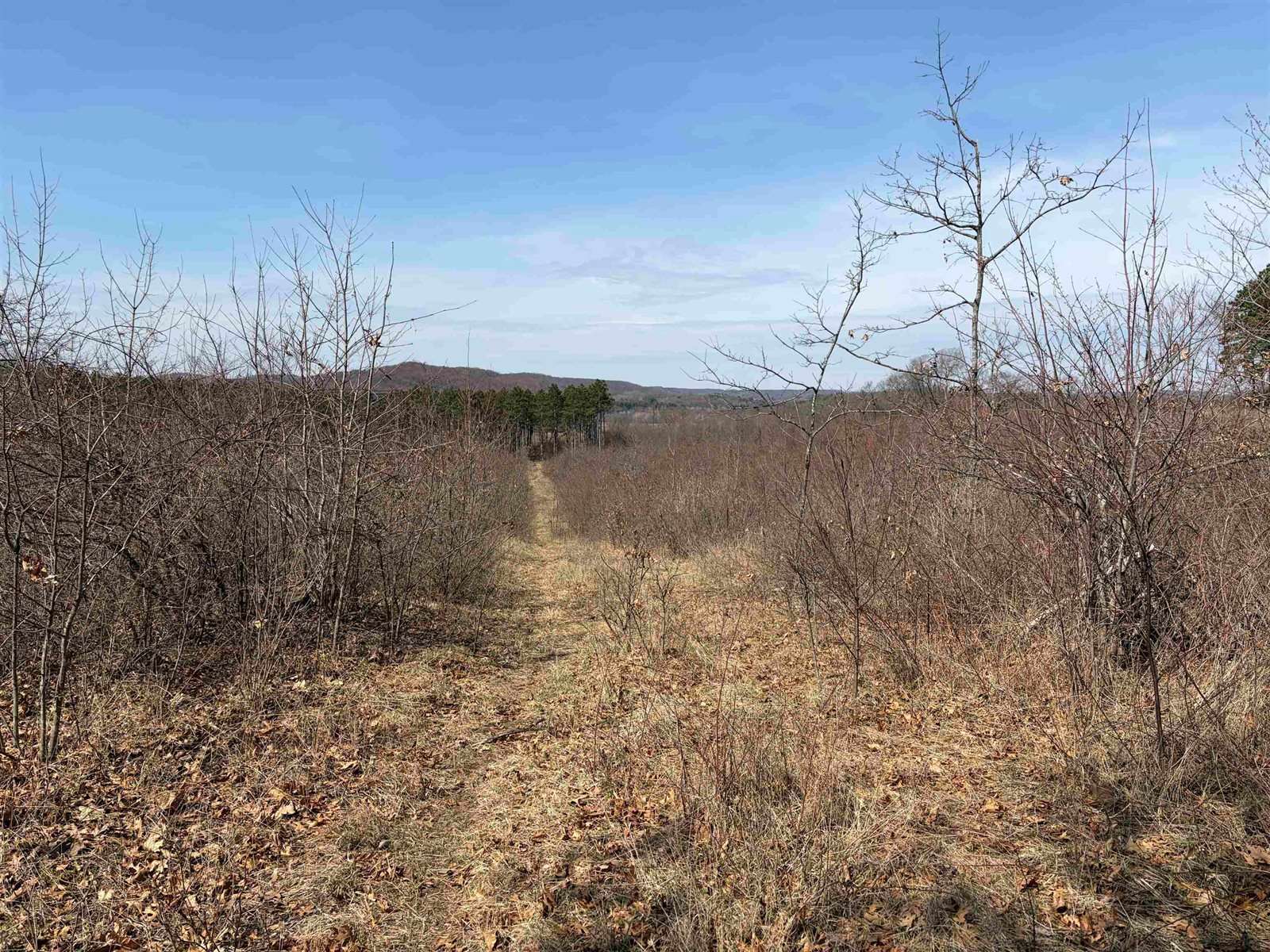 40 acres Town Hall, Dellona, WI 53944