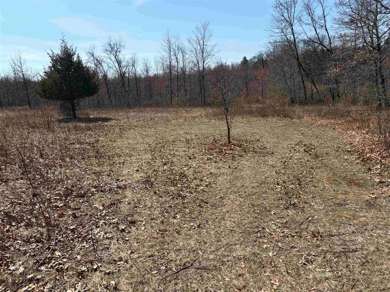 40 acres Town Hall, Dellona, WI 53944