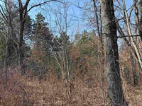 40 acres Town Hall, Dellona, WI 53944