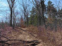 40 acres Town Hall, Dellona, WI 53944