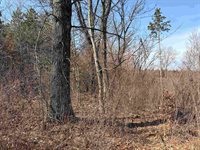 40 acres Town Hall, Dellona, WI 53944