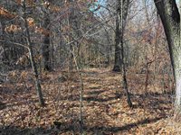40 acres Town Hall, Dellona, WI 53944