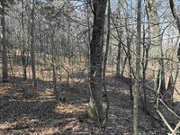 40 acres Town Hall, Dellona, WI 53944