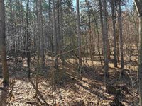 40 acres Town Hall, Dellona, WI 53944