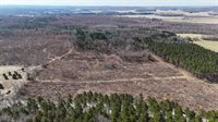 40 acres Town Hall, Dellona, WI 53944