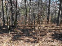 40 acres Town Hall, Dellona, WI 53944