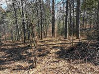 40 acres Town Hall, Dellona, WI 53944