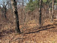 40 acres Town Hall, Dellona, WI 53944