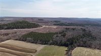40 acres Town Hall, Dellona, WI 53944