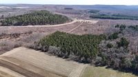 40 acres Town Hall, Dellona, WI 53944