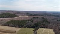 40 acres Town Hall, Dellona, WI 53944