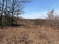 40 acres Town Hall, Dellona, WI 53944