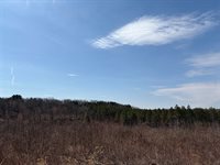 40 acres Town Hall, Dellona, WI 53944