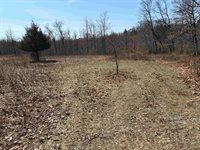 40 acres Town Hall, Dellona, WI 53944