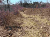 40 acres Town Hall, Dellona, WI 53944