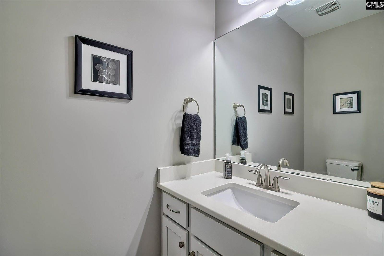 124 Bowyer, Chapin, SC 29036