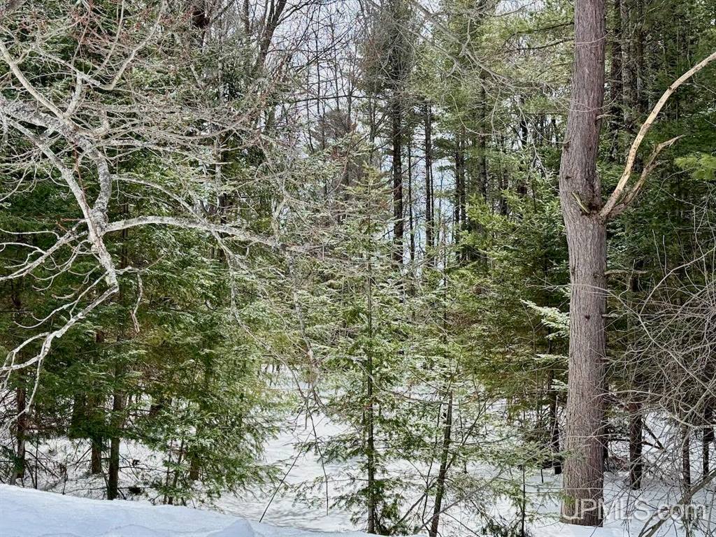 1071 & 1075 Highland Drive, Ishpeming, MI 49849