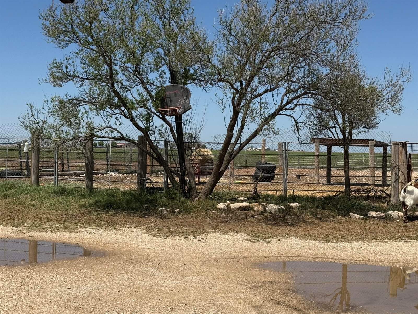 11634 Fm 388, San Angelo, TX 76905