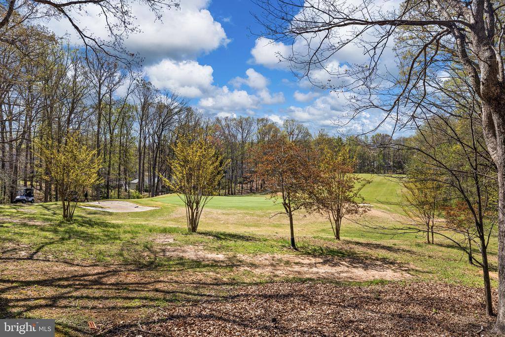 111 Chesterfield Court, Locust Grove, VA 22508