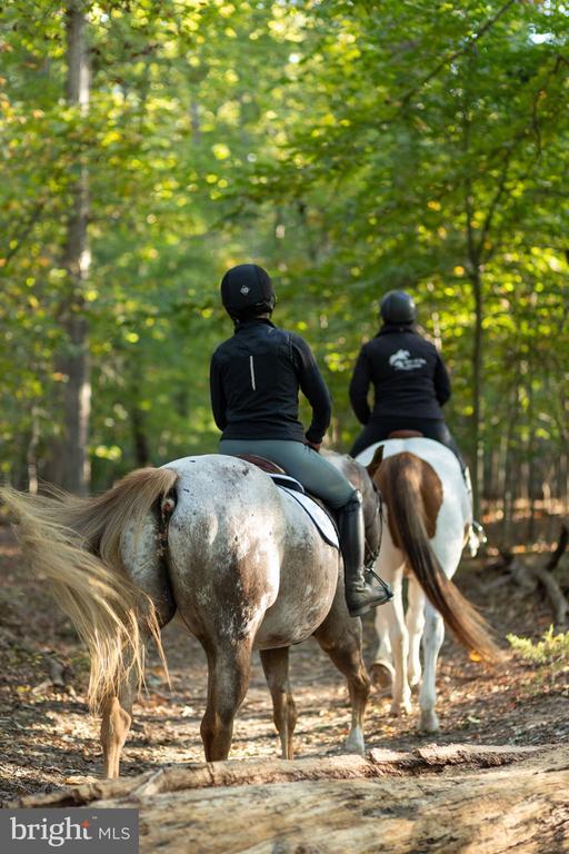 111 Chesterfield Court, Locust Grove, VA 22508