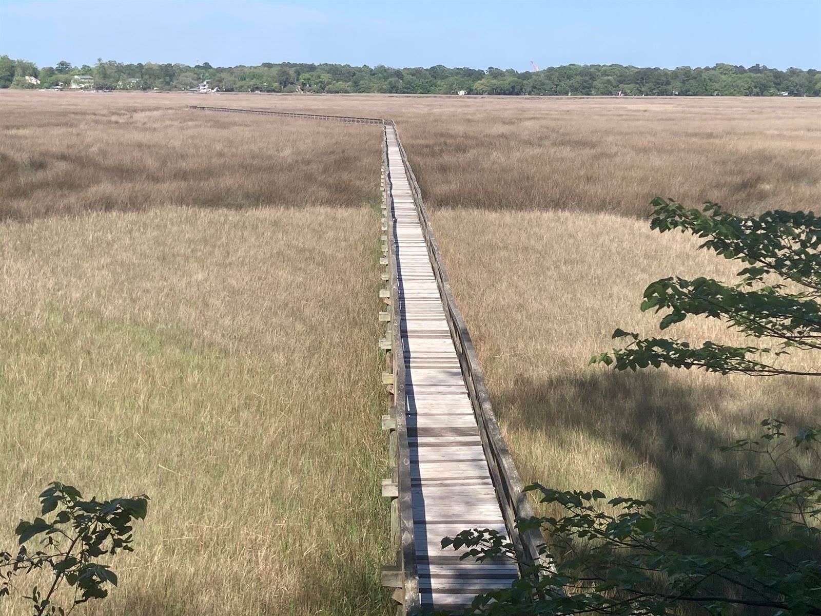 3121 Mulan Lane, Charleston, SC 29414