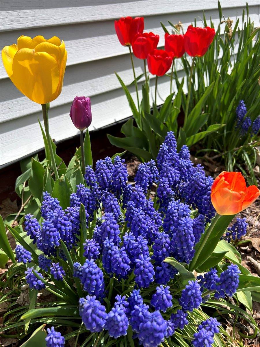 53 Fifteenth Street, Bangor, ME 04401