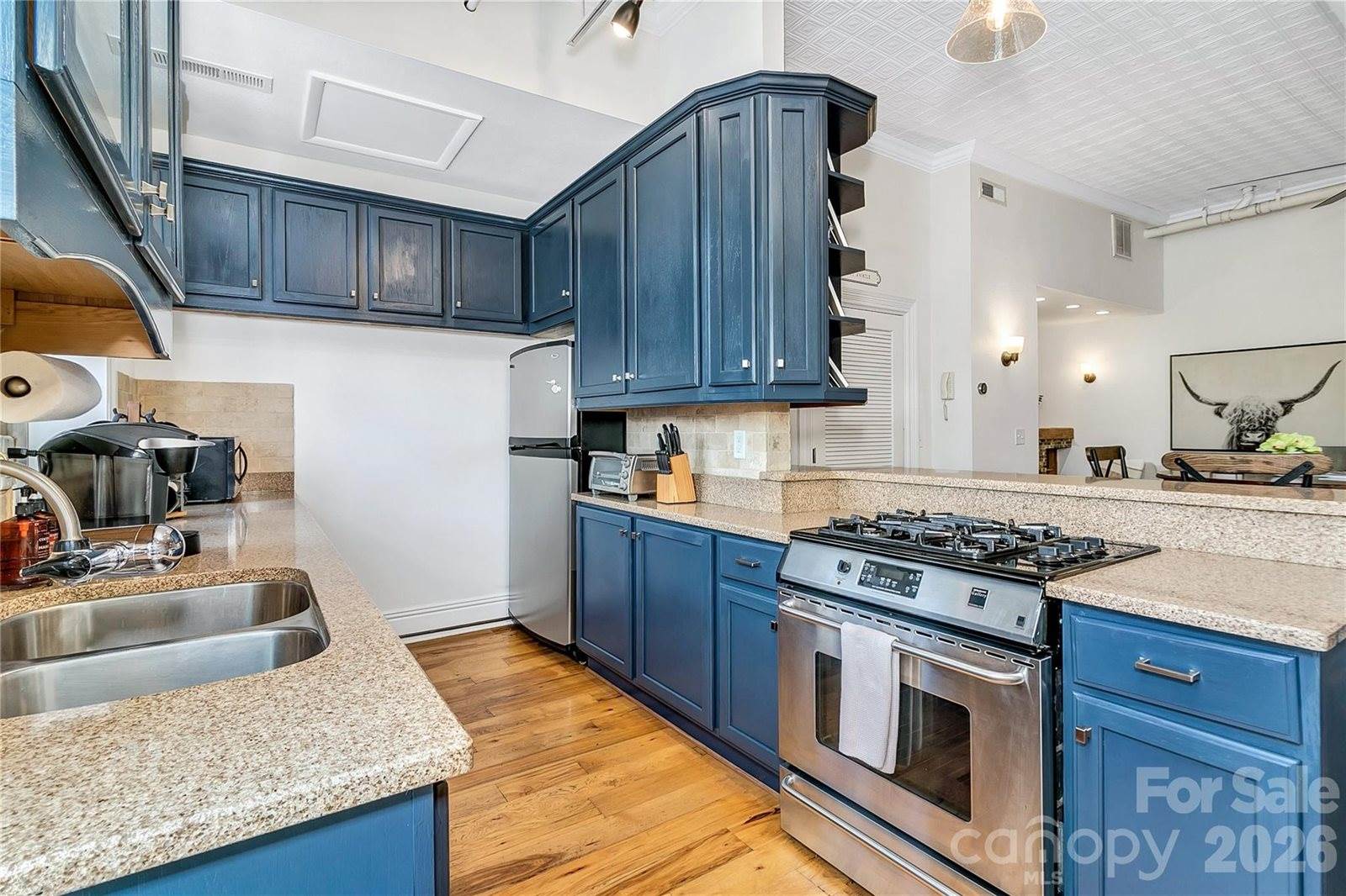 35 Patton Avenue, #202, Asheville, NC 28801