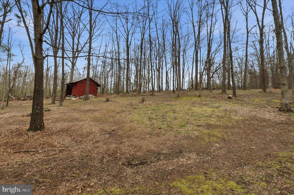 154 Spook Hollow Road, Berkeley Springs, WV 25411
