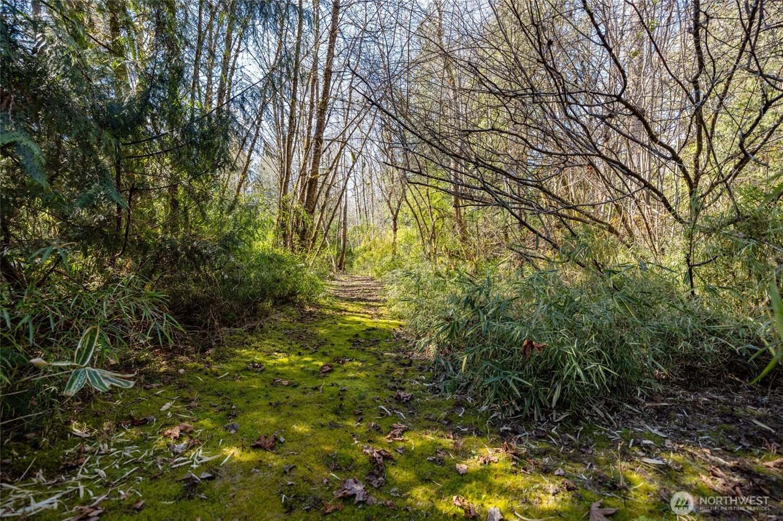 7595 Pressentin Court, Concrete, WA 98237