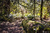 7595 Pressentin Court, Concrete, WA 98237