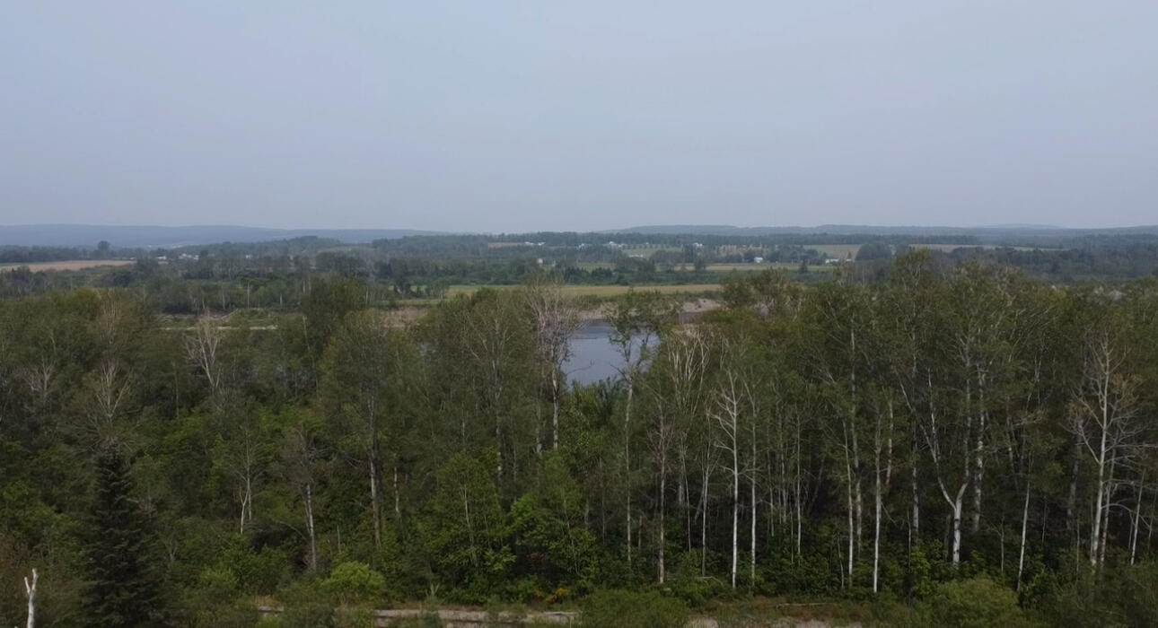 M48L15/16 US Rt 1, Grand Isle, ME 04746