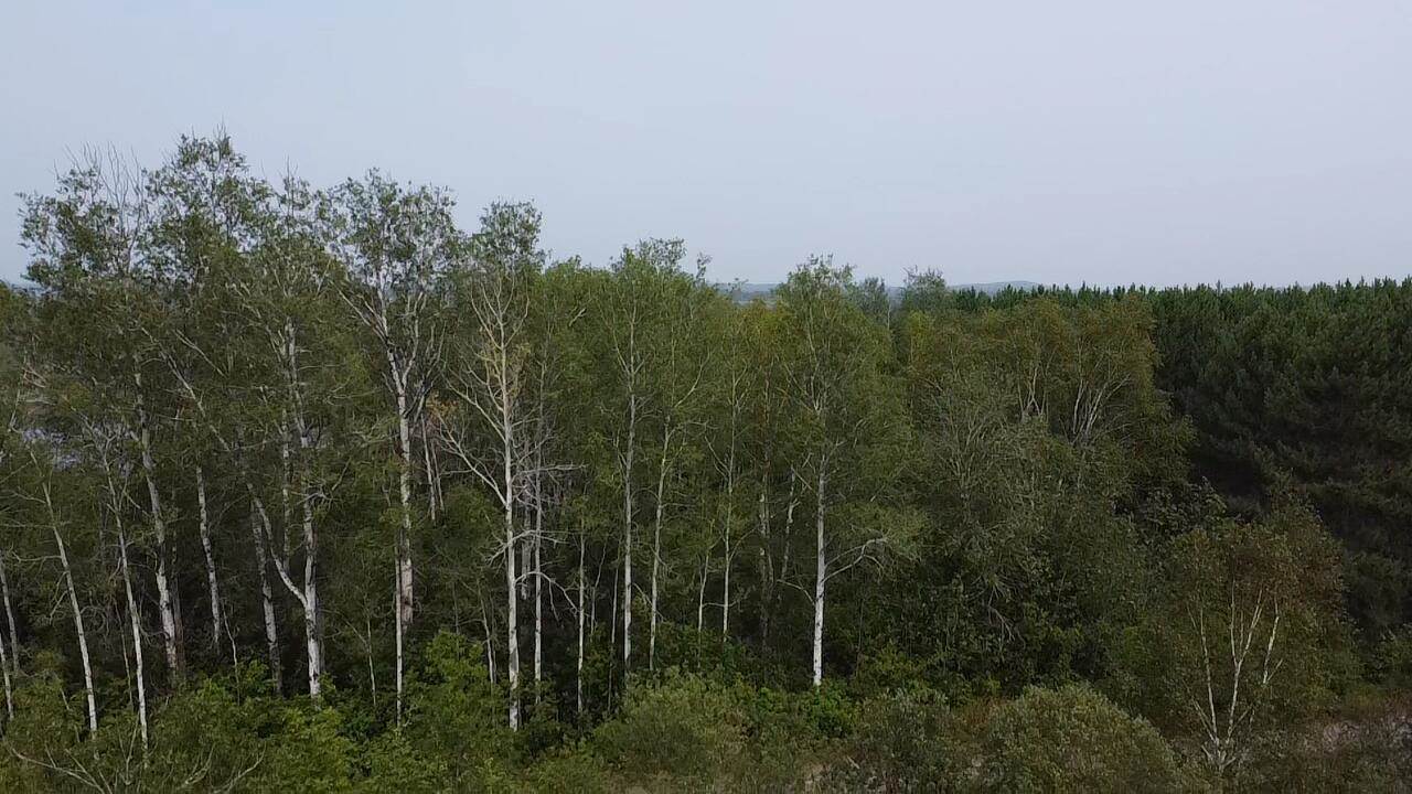 M48L15/16 US Rt 1, Grand Isle, ME 04746