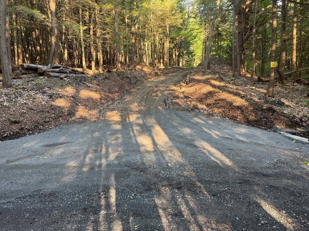 0 Old Chester Rd (Rear), Blandford, MA 01008