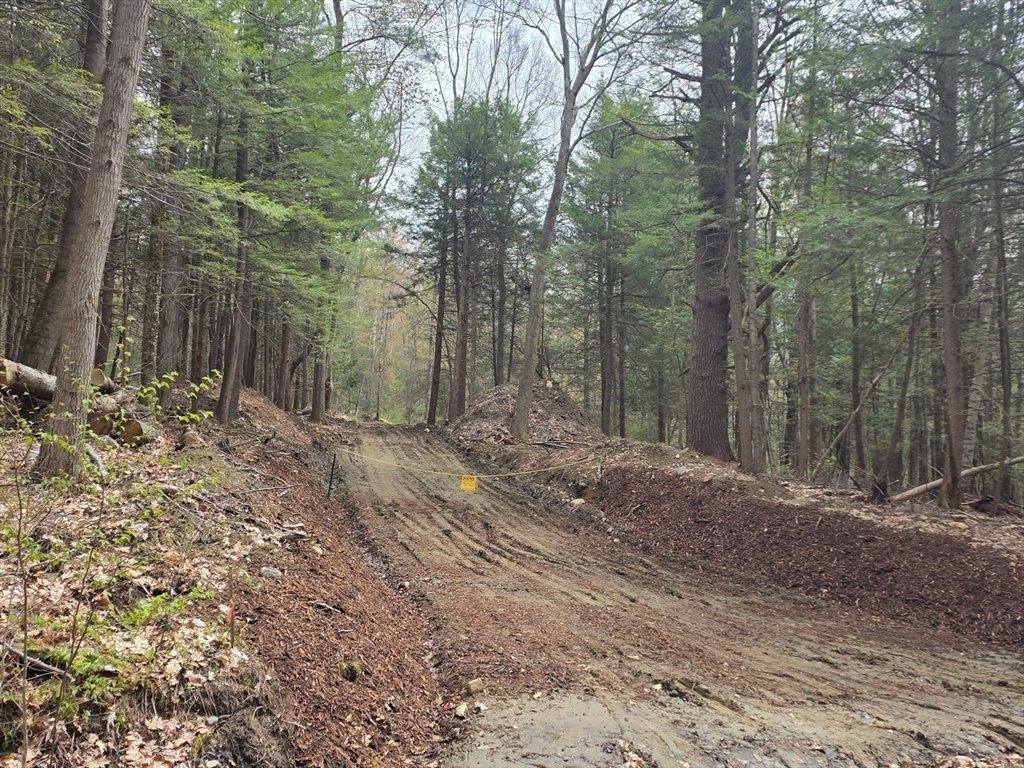 0 Old Chester Rd (Rear), Blandford, MA 01008