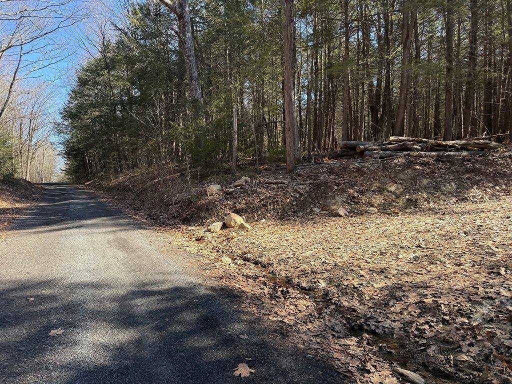 0 Old Chester Rd (Rear), Blandford, MA 01008