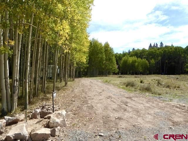 457 Wildflower Drive, Cimarron, CO 81220