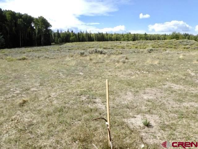 457 Wildflower Drive, Cimarron, CO 81220