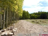 457 Wildflower Drive, Cimarron, CO 81220