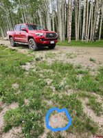457 Wildflower Drive, Cimarron, CO 81220