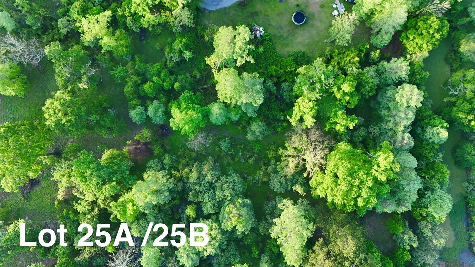 17007 Summerfield South Rd, Prairieville, LA 70769