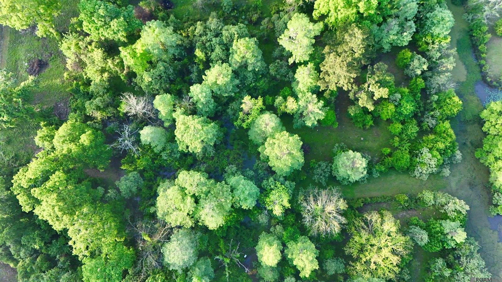 17007 Summerfield South Rd, Prairieville, LA 70769