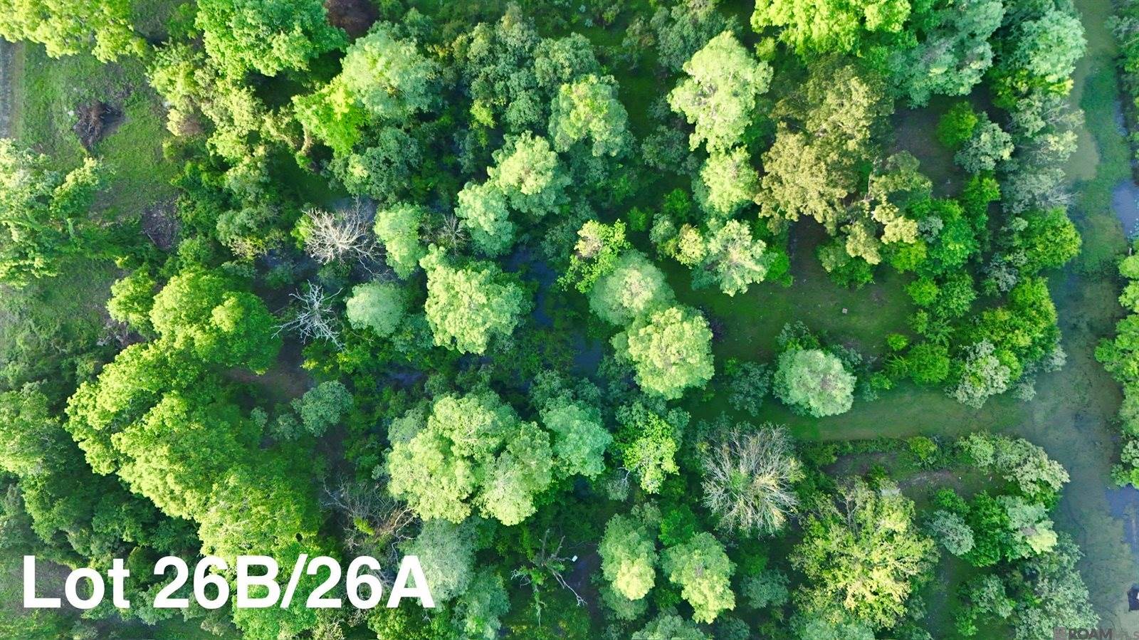 17007 Summerfield South Rd, Prairieville, LA 70769