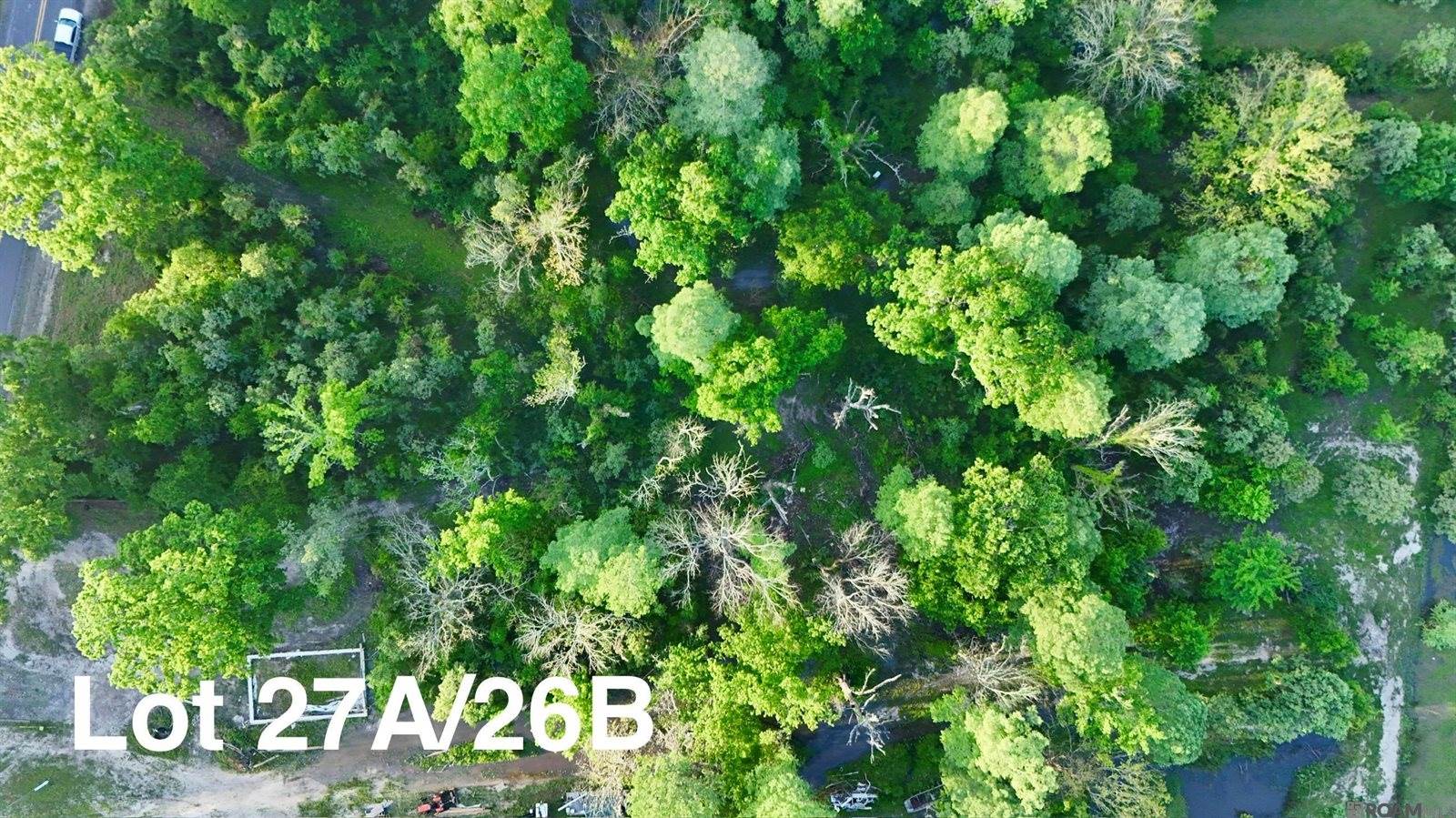 17007 Summerfield South Rd, Prairieville, LA 70769