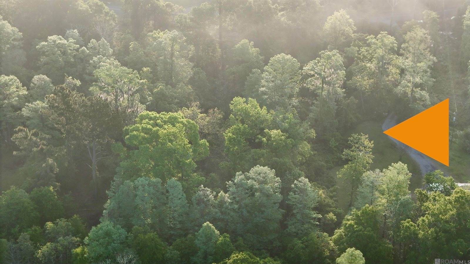 17007 Summerfield South Rd, Prairieville, LA 70769