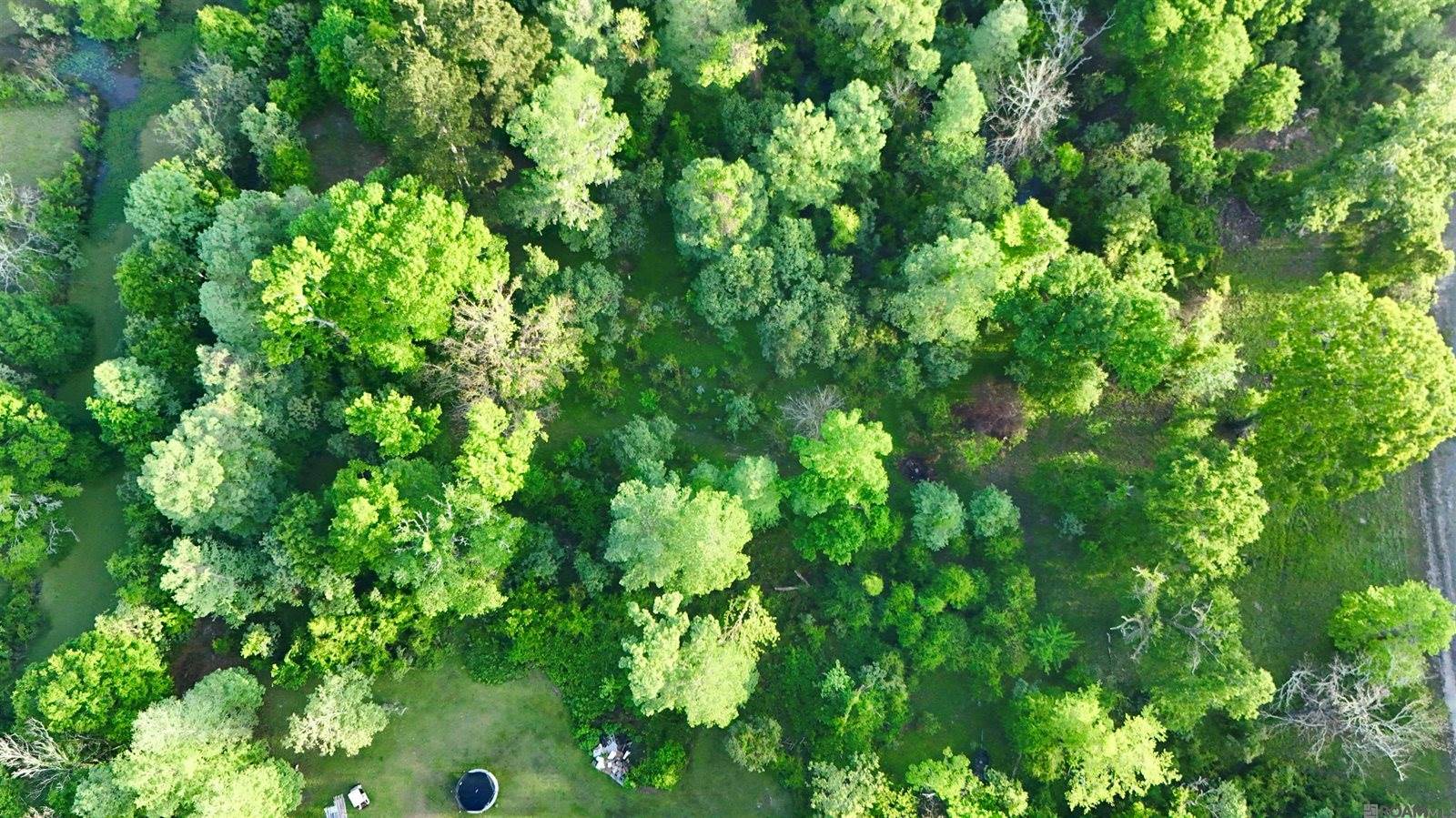 17007 Summerfield South Rd, Prairieville, LA 70769