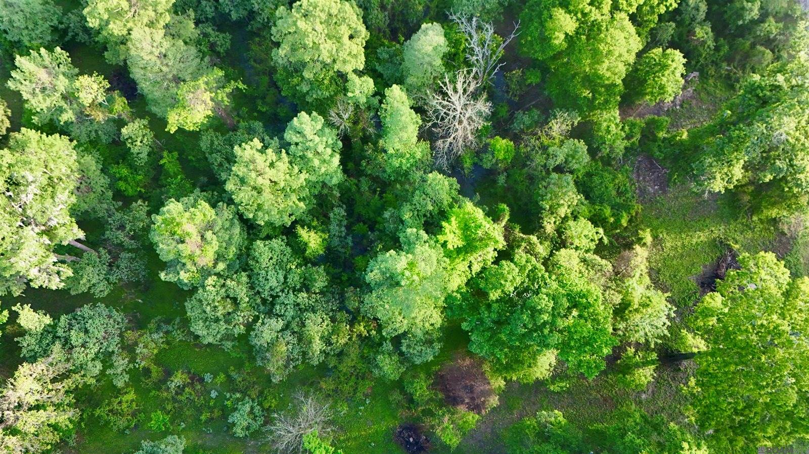 17007 Summerfield South Rd, Prairieville, LA 70769