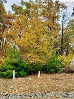 Lot 16 & 17 Sunset Ridge, Boone, NC 28607