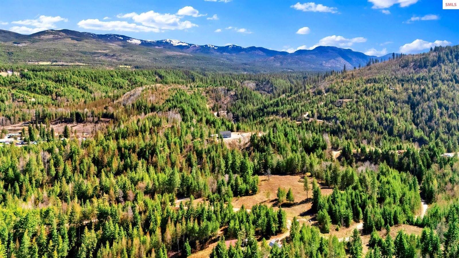 NKA Otter Lane, Naples, ID 83847