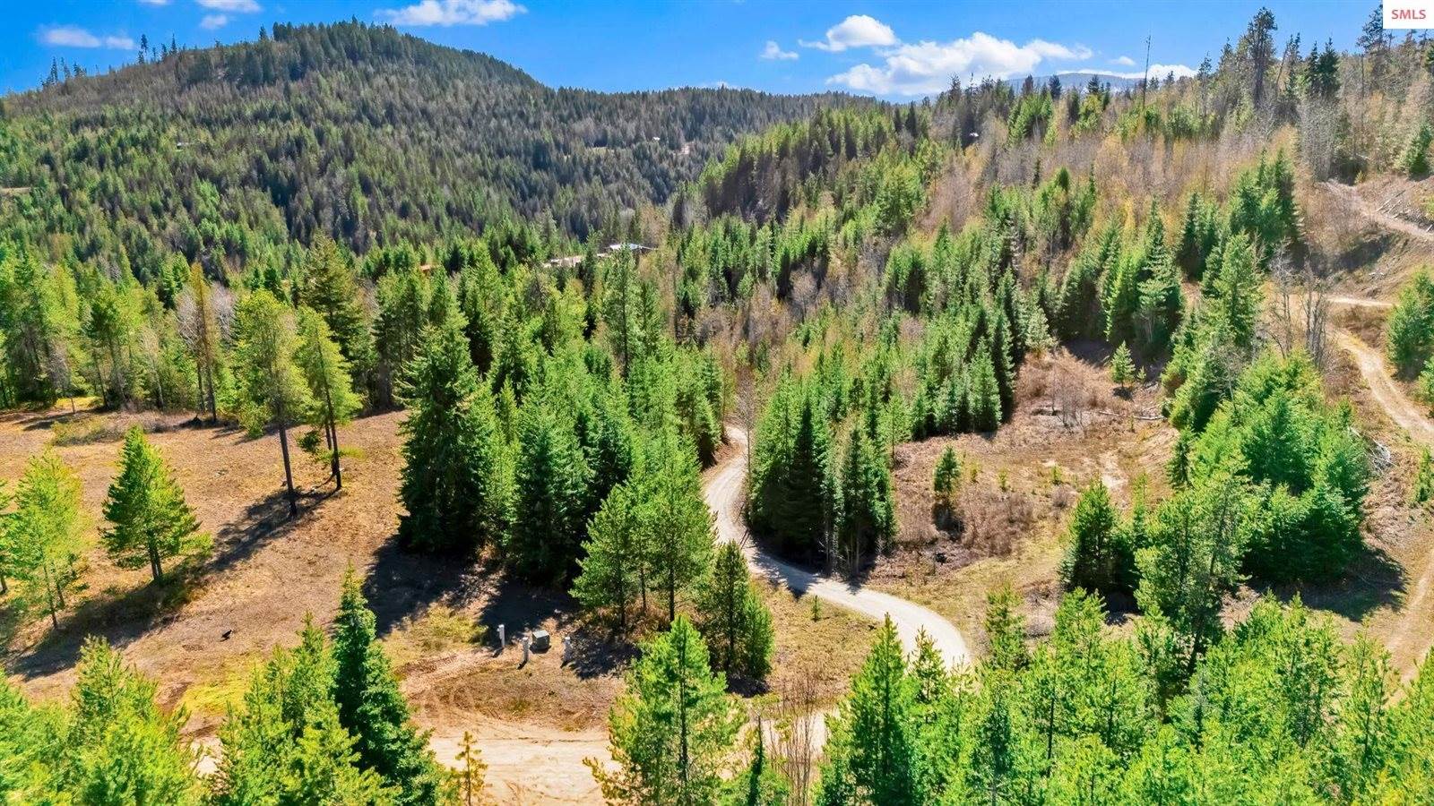 NKA Otter Lane, Naples, ID 83847