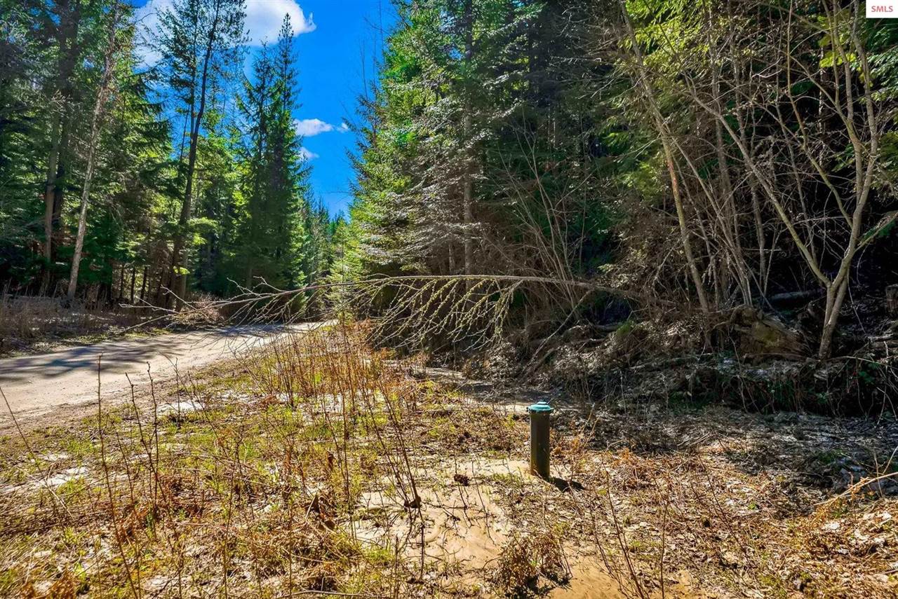 NKA Otter Lane, Naples, ID 83847